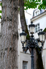 Lamps in Paris