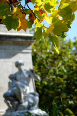Obraz premium Autumn Leafs in Paris