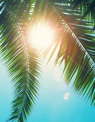 Fotobehang Turquoise Kokospalm op de hemelachtergrond