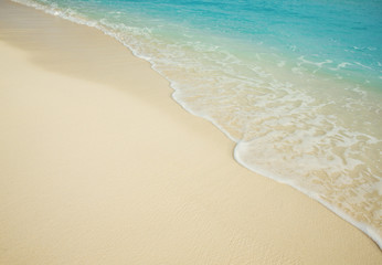 Sea wave on the sandy beach.