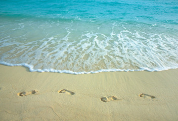 Fototapeta na wymiar Human footprints on a sandy beach.