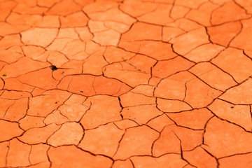 Orange drought soil pattern - no water