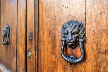 Two door lion head knockers, knobs with handles on wooden, brown door entrance of old, antique,...