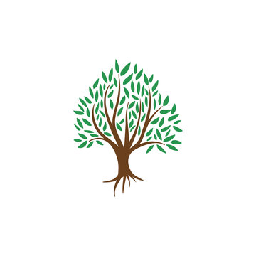 Original Tree Logo Design Template