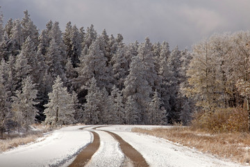 Cypress Hills First Snowfall