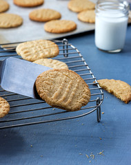Placing a cookie on the rack.