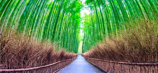 Photo sur Plexiglas Bambou Forêt de bambous au point de repère de Kyoto au Japon