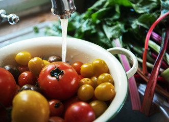 Fresh organic tomatoes getting washed