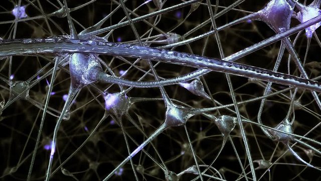 Journey through a network of neuronal cells and synapses in the brain through which electrical impulses and discharges pass