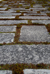 Nansenji Temple, Kyoto, Japan, 