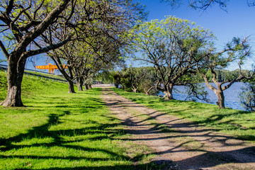 camino agua arboles