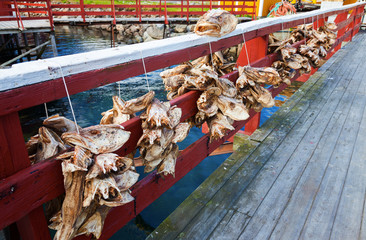 Nusfjord Fishing Villange in the Lofoten Islands Norway