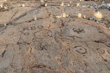 Petroglyphs carved into volcanic rock, on the King's Trail (