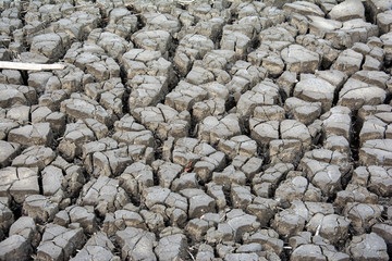 Dry soil texture for background. Dry land.