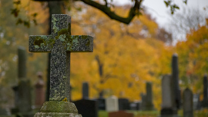 old cemetery in autumn rain, misty, alone, isolated, no people, sad, peaceful.