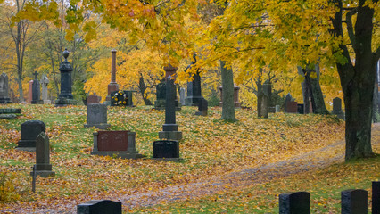 old cemetery in autumn rain, misty, alone, isolated, no people, sad, peaceful.
