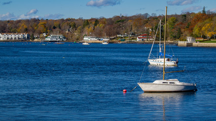 Fototapeta premium yachts in the bay
