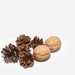walnuts and nut cracker isolated on white background
