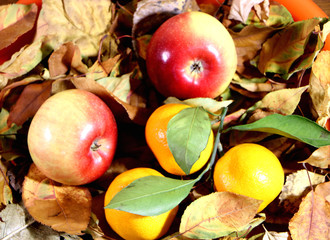 Naklejka na ściany i meble apples and tangerines on autumn leaves