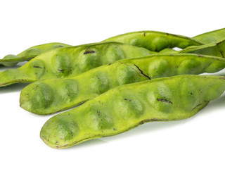 Parkia speciosa seeds, Sato seeds, bitter bean isolated on white background.Thai vegetable food