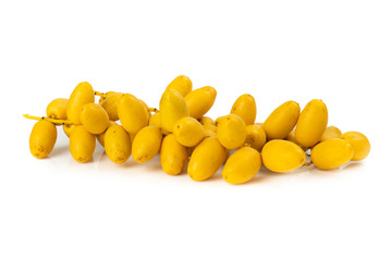 Bunch of yellow raw Date Fruit or Medjool Dates (Phoenix dactylifera) from the palm tree isolated on White Background.Healthy lifestyle and Vegetarian concept