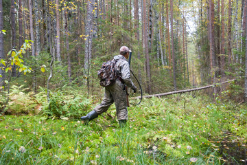 the hunter passes a damp place in a pine forest