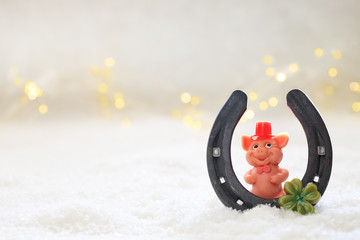 Glücksschweinchen im Schnee