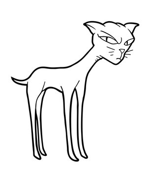 5 minute sketch of an angry cat. : r/drawing