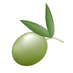 nature olive illustration