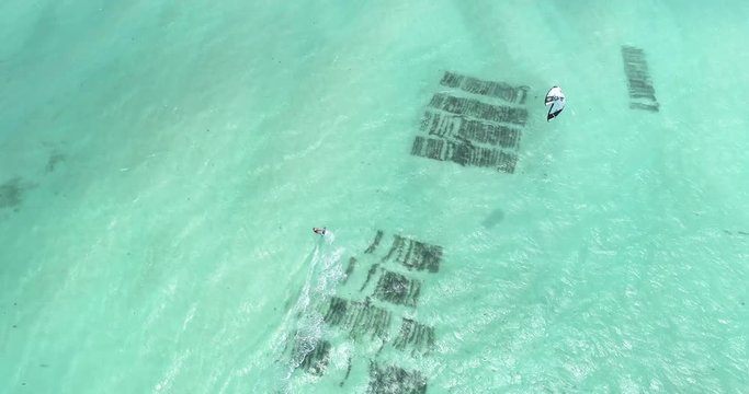 Overhead aerial, person parasails in tropical water
