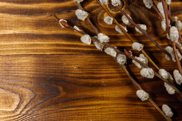 Pussy willow twigs on wooden background. Top view, copy space