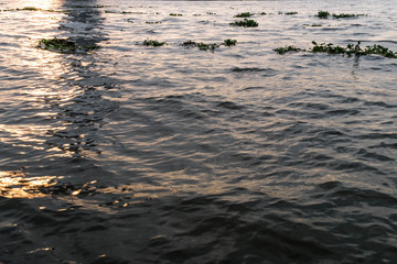 sunset on the river over the city