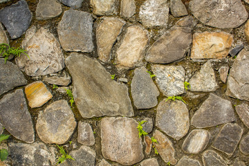 a wall of various large natural stones with small green vegetation. wall with moss. rough wall surface texture. gray, blue and white stones.