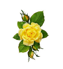 Yellow rose flowers and buds in a floral arrangement