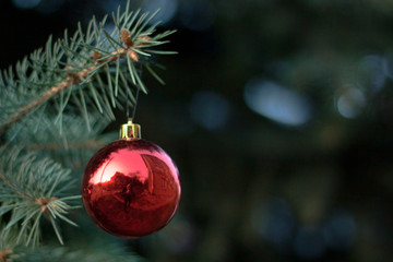 Obraz premium Bright Christmas decorations on the branches of the Christmas tree. selective focus. dramatic light