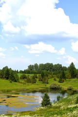 Warm beautiful summer landscape with lake and grass. A pond on a background of greenery and blue sky