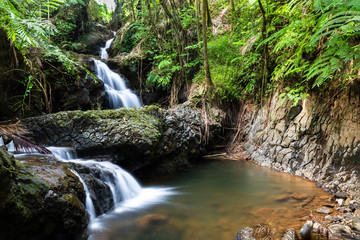 Obraz premium Onomea waterfall cascading through Hawaiian Tropical Botanical Garden in Hilo. Water cascading down the rocks to a pool below; surrounded by tropical rainforest. 