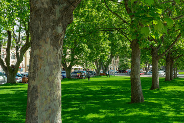 Salamanca Place park