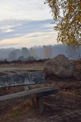 Heidelandschaft mit Wacholdersträuchern und Birken im Herbst