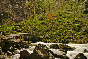 Scenic Unesco protected Rakov Skocjan national park in Slovenia