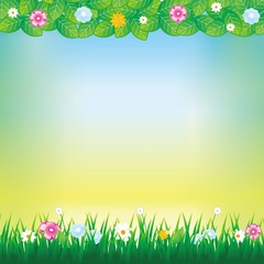 Fototapeta na wymiar Summer Background, Spring Background, Flower Background, Nature Background