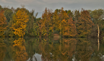 Scenic marshland during autumn time