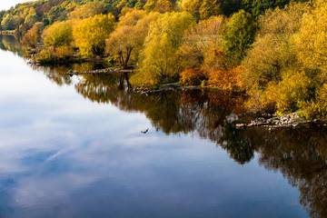 Fototapeta premium Fluß Ufer Laub mit Herbst Farben