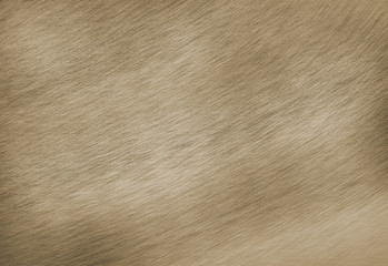 Brushed brass plate