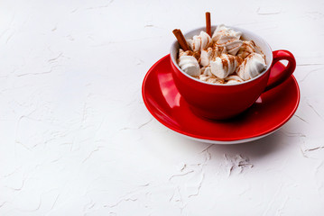 Cup of hot cocoa with marshmallow