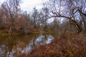 Fototapeta na wymiar autumn by the river