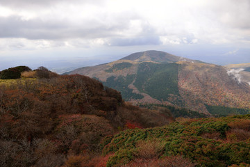 Fototapeta premium くじゅうの紅葉