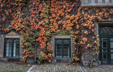 Fototapeta na wymiar old house with windows in autumn