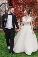 Gorgeous bride and stylish groom holding hands and walking at wall of autumn red leaves. Happy Sensual wedding couple smiling. Romantic moments of newlyweds. Wedding photo