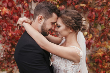 Gorgeous bride and stylish groom gently hugging and smiling at wall of autumn red leaves. Happy sensual wedding couple embracing. Romantic moments of newlywed